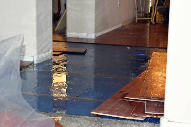 Professional Burst Pipe Cleanup technician working in Bucksport, ME